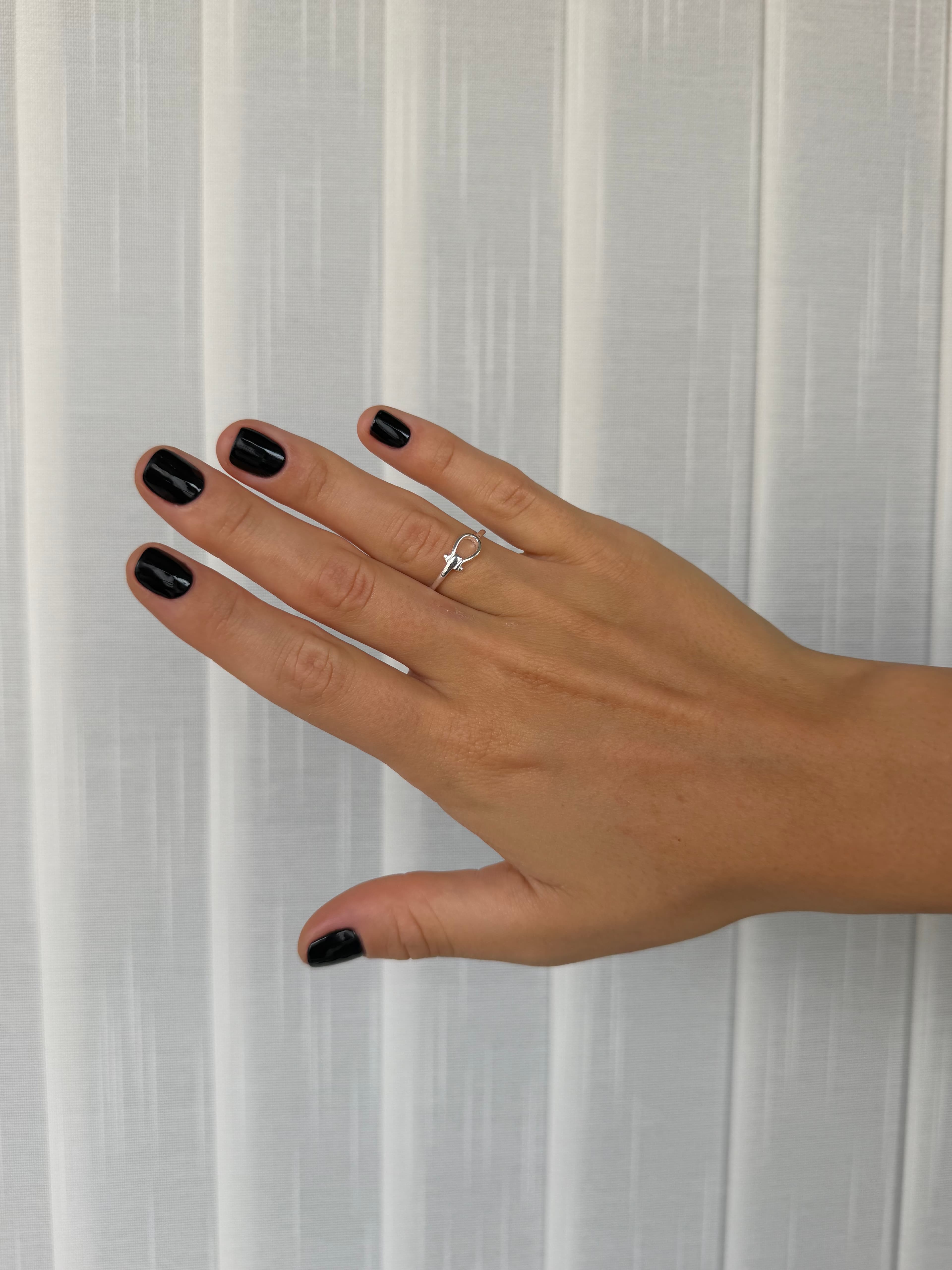 Anillo pez